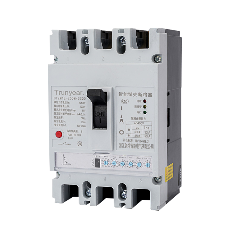 CYZM1E电子式断路器
